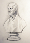 Bust from V&A (pencil)